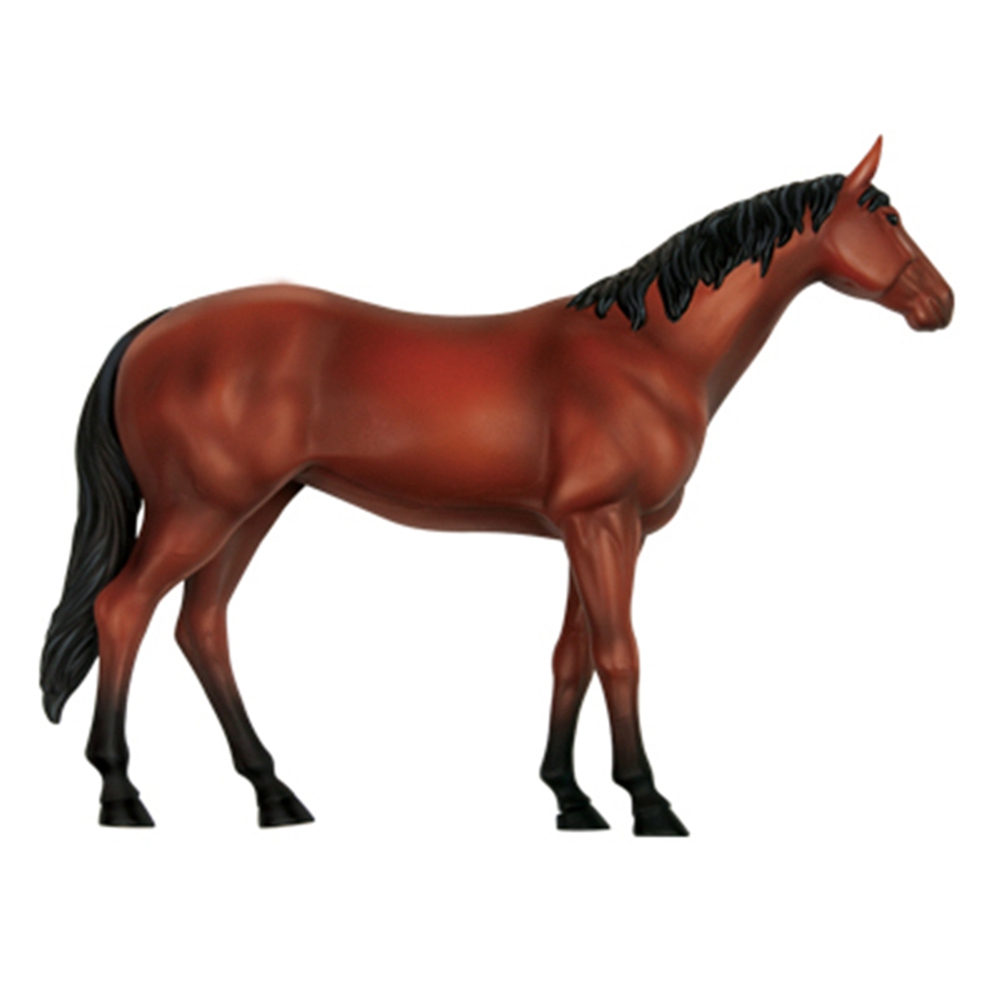 Modelo de anatomía de órganos  - Science Toys Diy reseña y precio