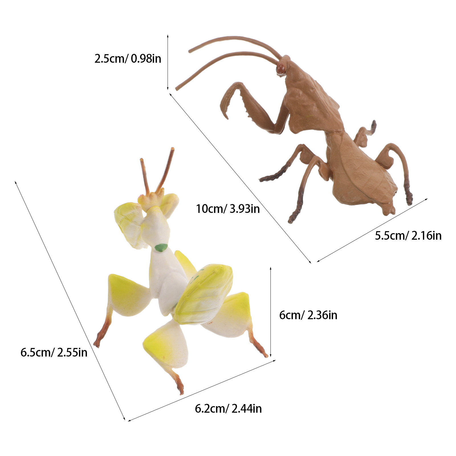2 unidades de simulación reali - Science Toy reseña y precio