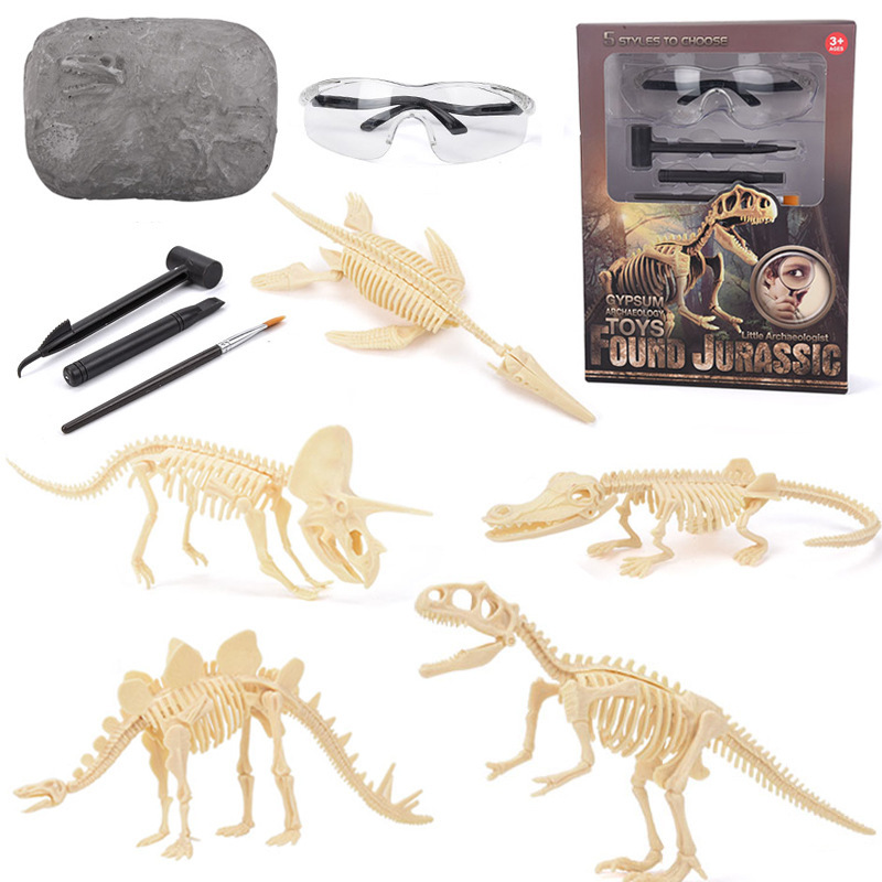 Kit de Excavación de Fósiles d - Science Toy reseña y precio