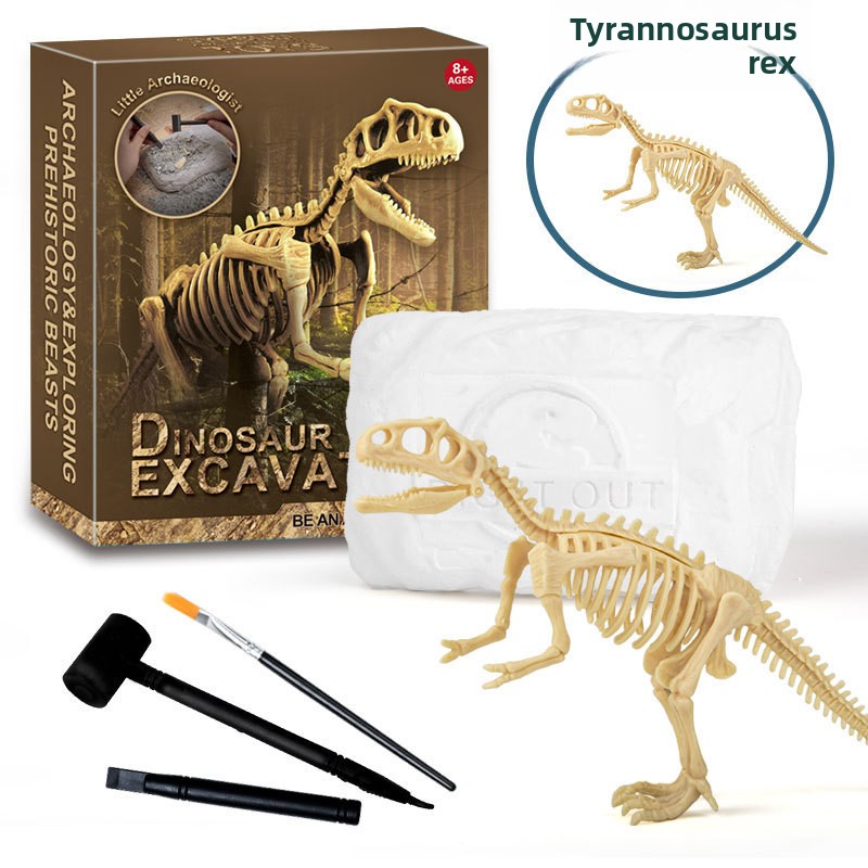 Kit de Excavación de Fósiles d - Science Toy reseña y precio