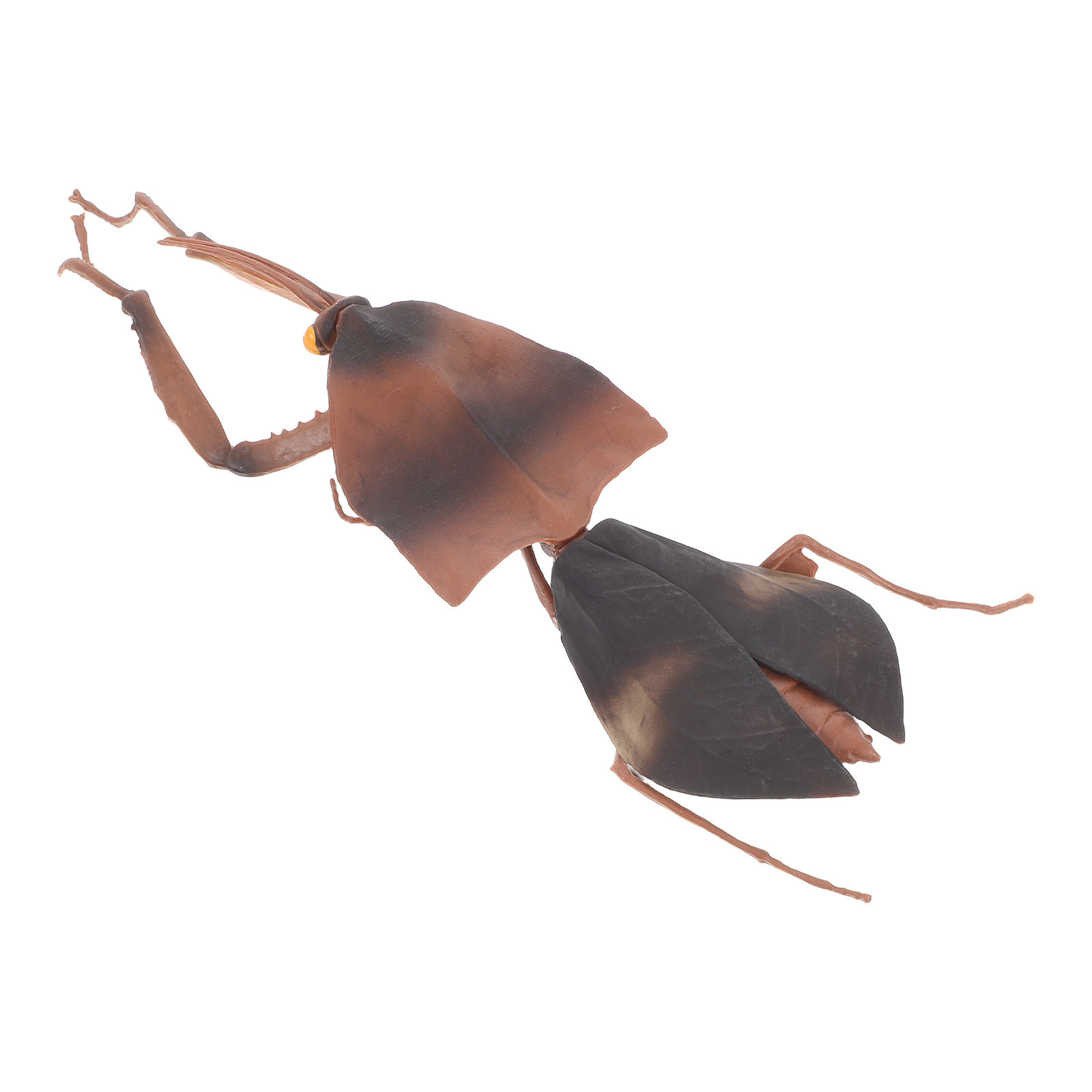 Mantis de hojas secas, insecto - Science Toy reseña y precio