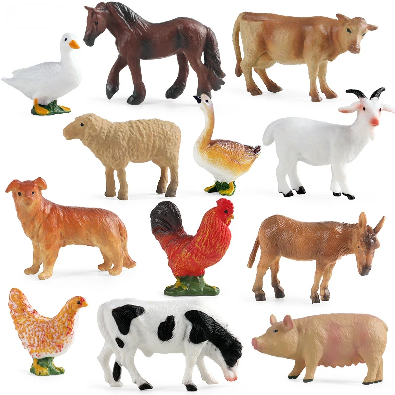 Herramienta de enseñanza educa - Science Toy reseña y precio